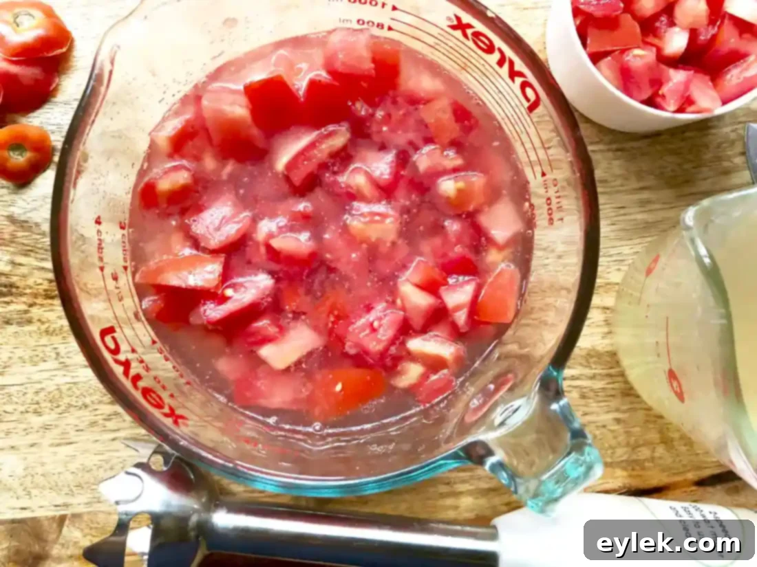 using an immersion blender for minestrone base
