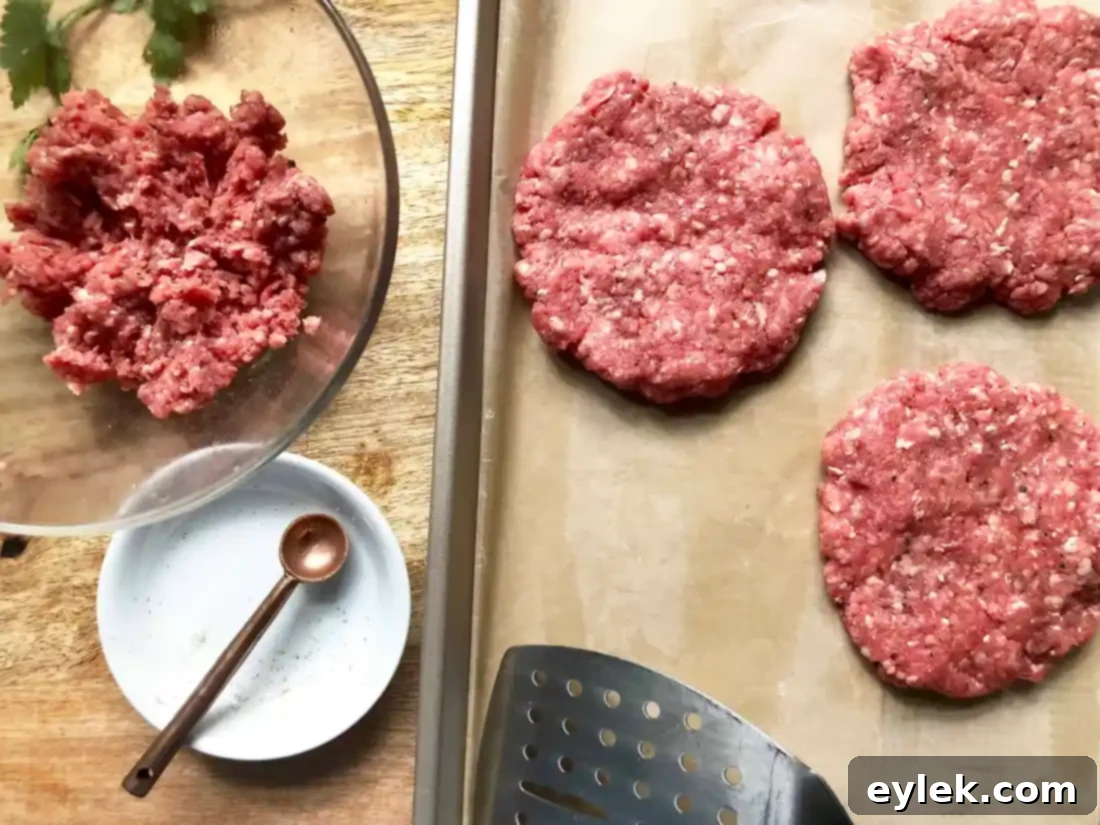 Camembert Cheese Slices for Burgers