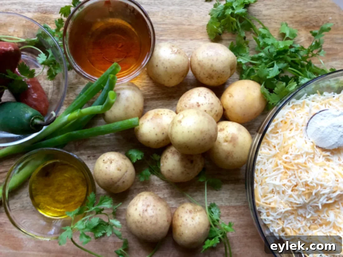 Chorizo Queso with Potato Skins