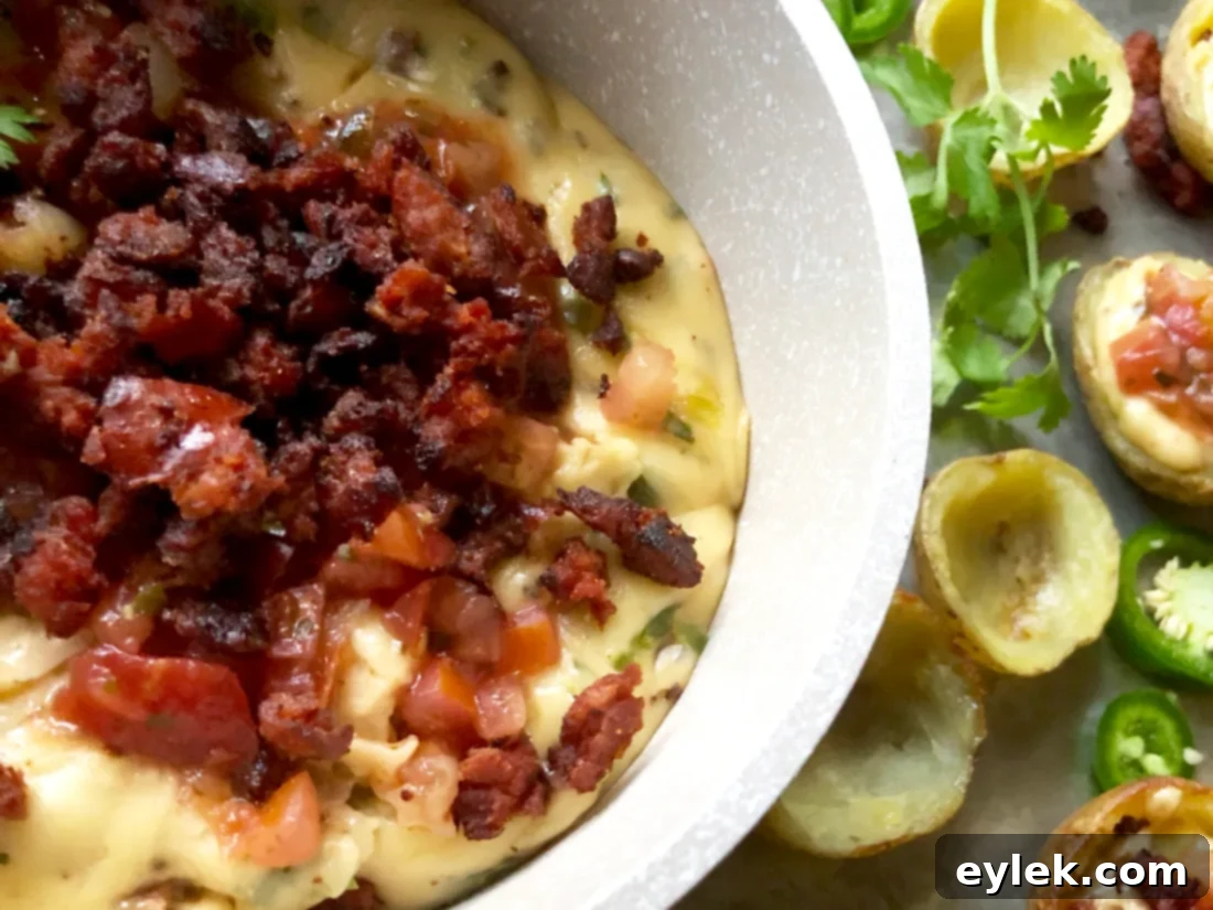 Chorizo Queso with Potato Skins