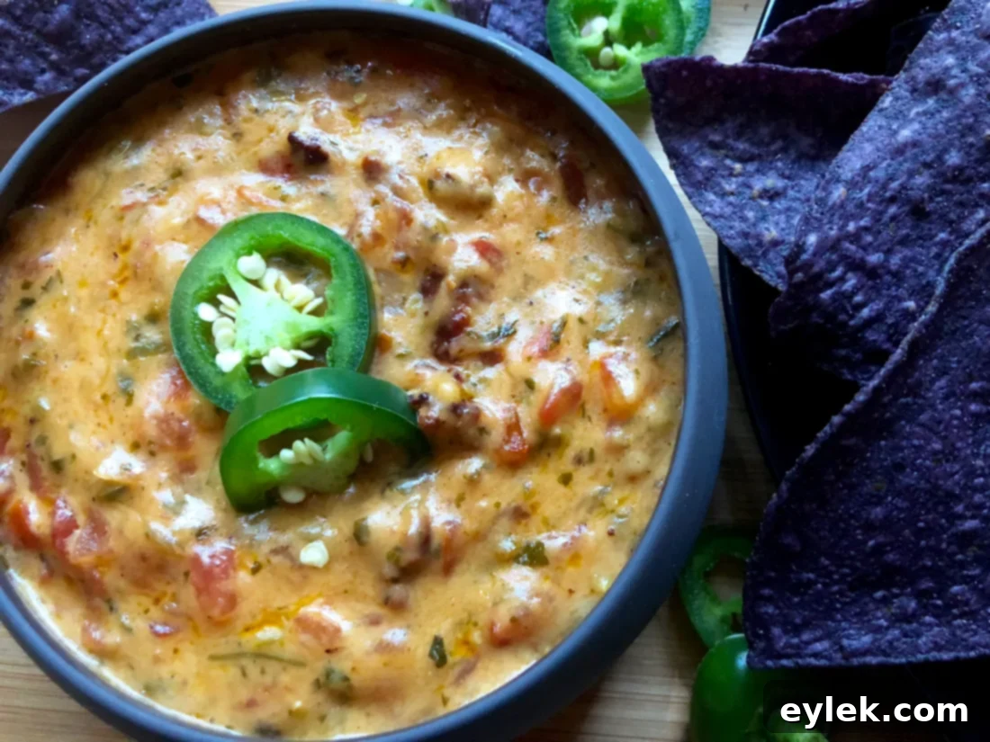 Chorizo Queso with Potato Skins
