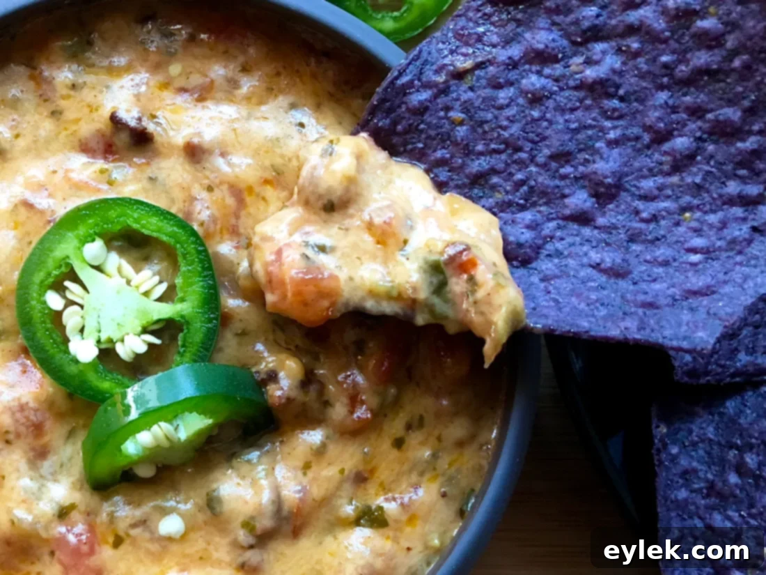Chorizo Queso with Potato Skins