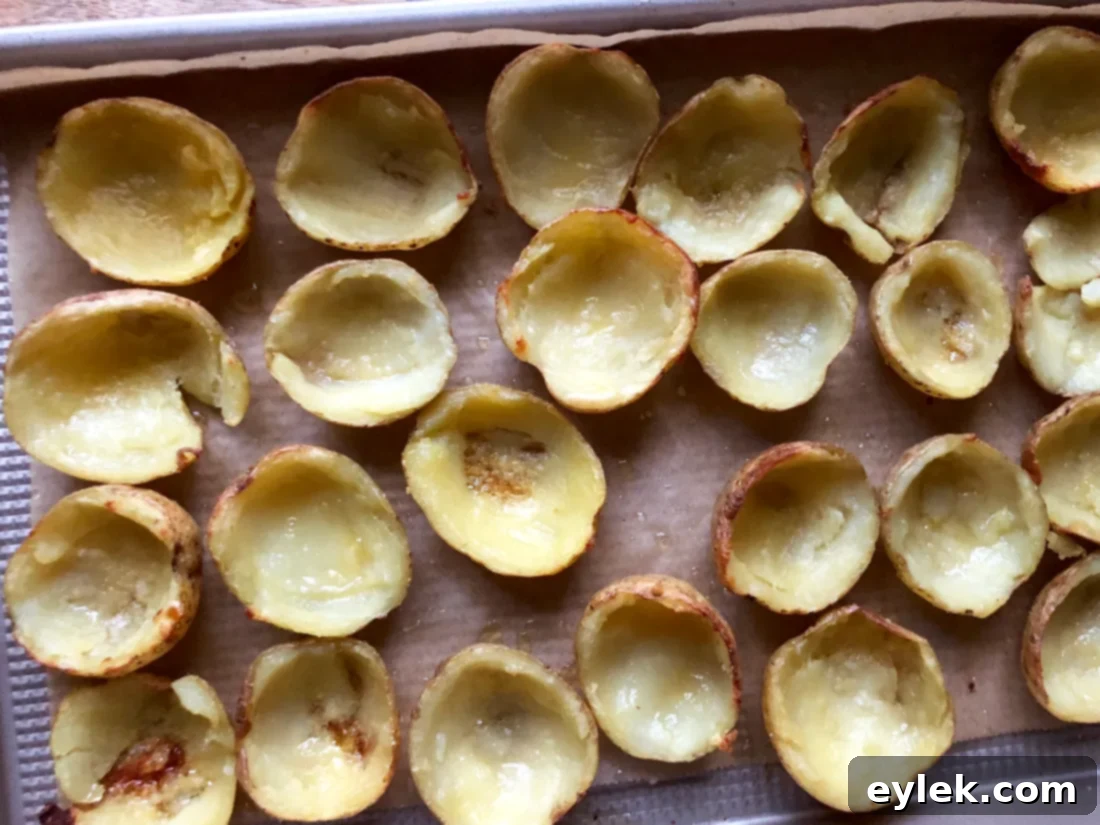 Chorizo Queso with Potato Skins
