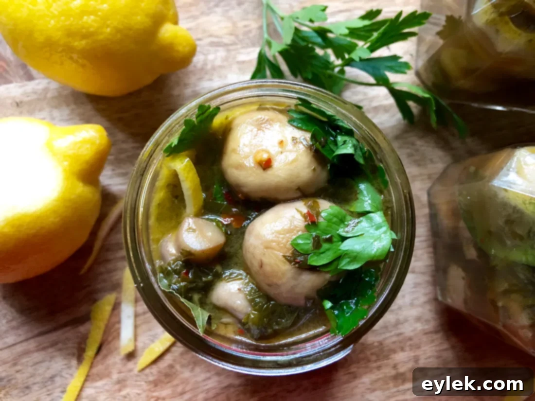 Marinated mushrooms being transferred into small glass jars, ready for chilling or gifting.