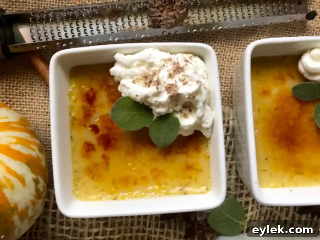 Two pumpkin crème brûlée with whipped cream and nutmeg