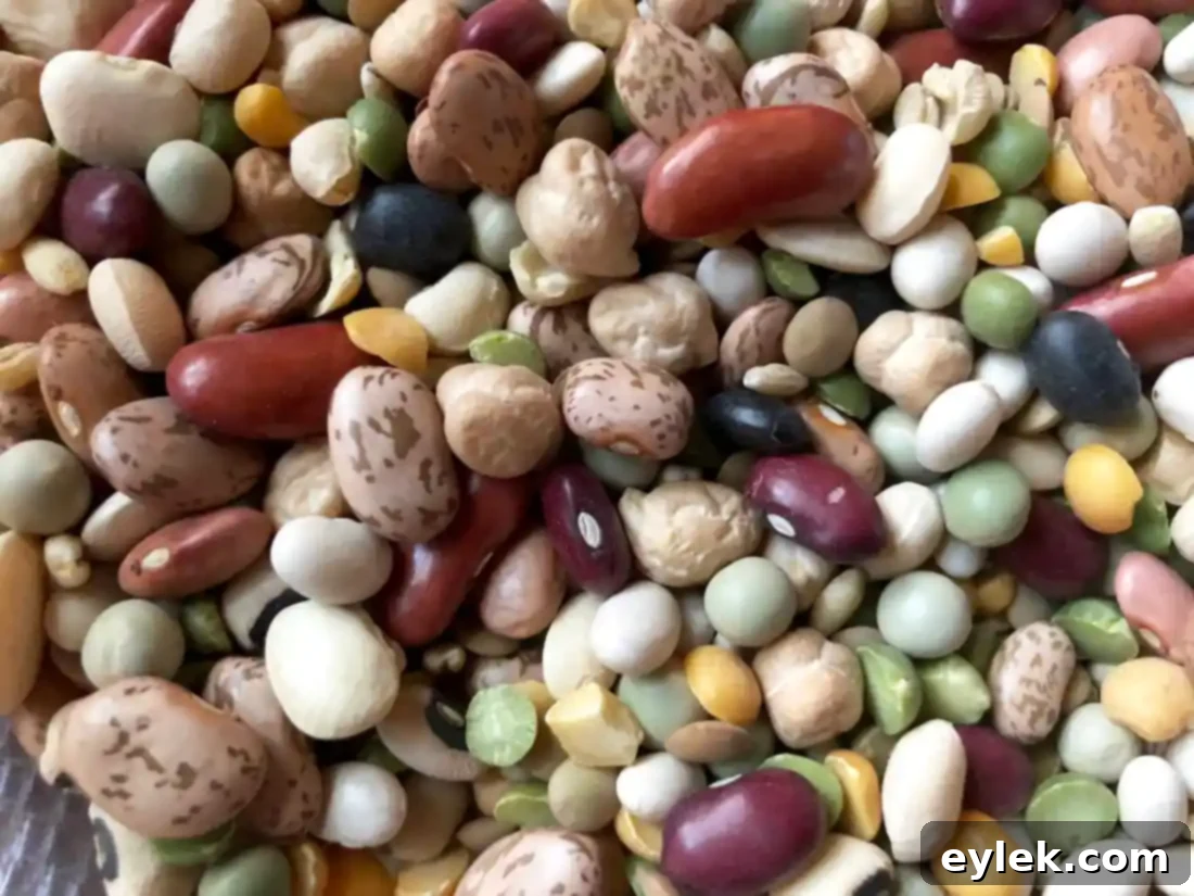 Soaked 16-bean mix, ready for cooking in Ina Garten's Pasta e Fagioli