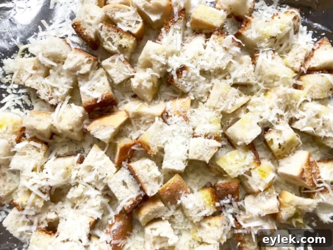 Golden-brown Manchego croutons fresh from the oven