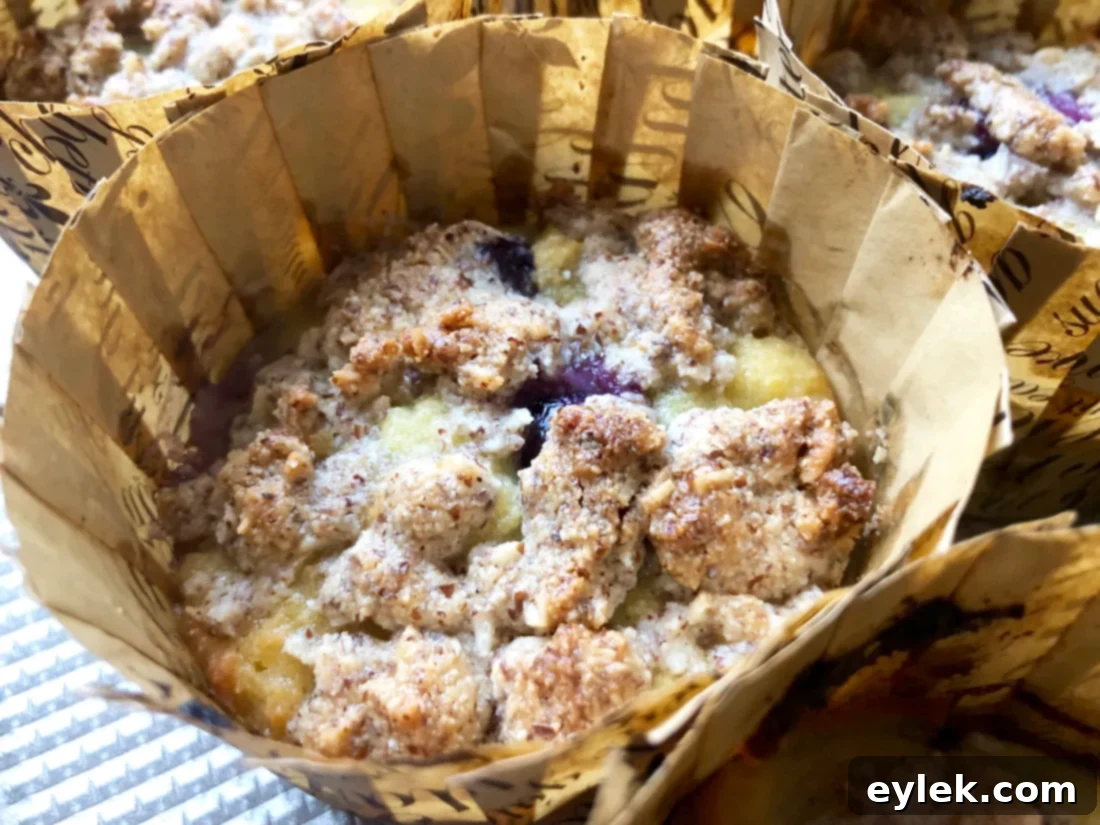 Golden-brown gluten-free coconut flour blueberry muffins cooling
