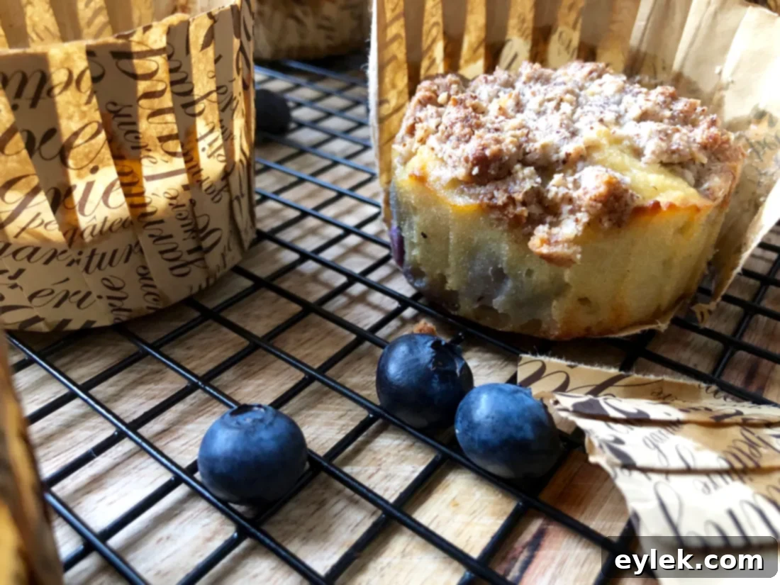 Close-up of baked gluten-free coconut flour blueberry muffins