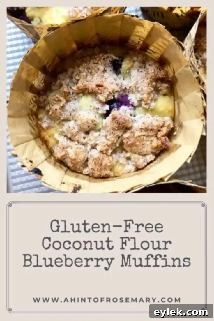 Stacked gluten-free coconut flour blueberry muffins with crumb topping