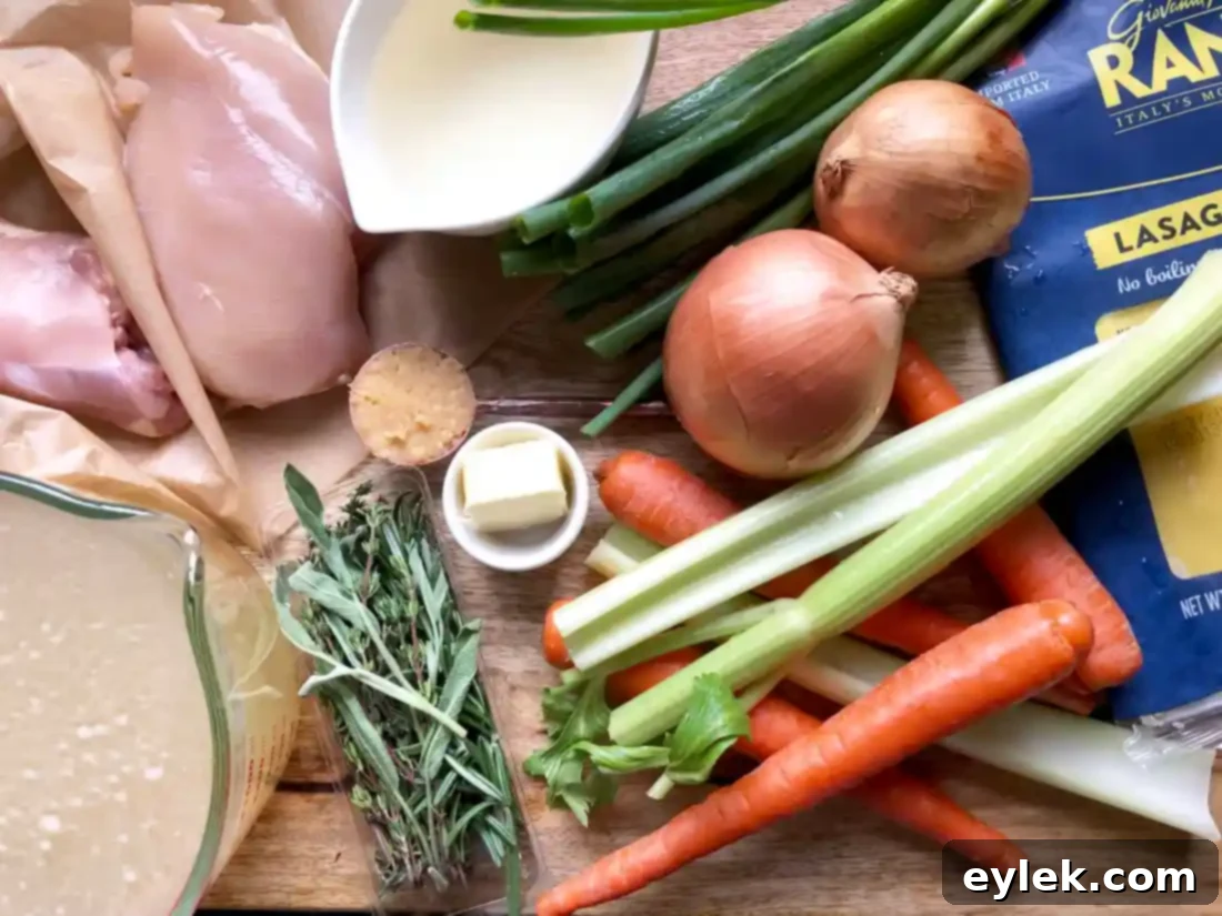 quick & rich chicken soup with fresh noodles