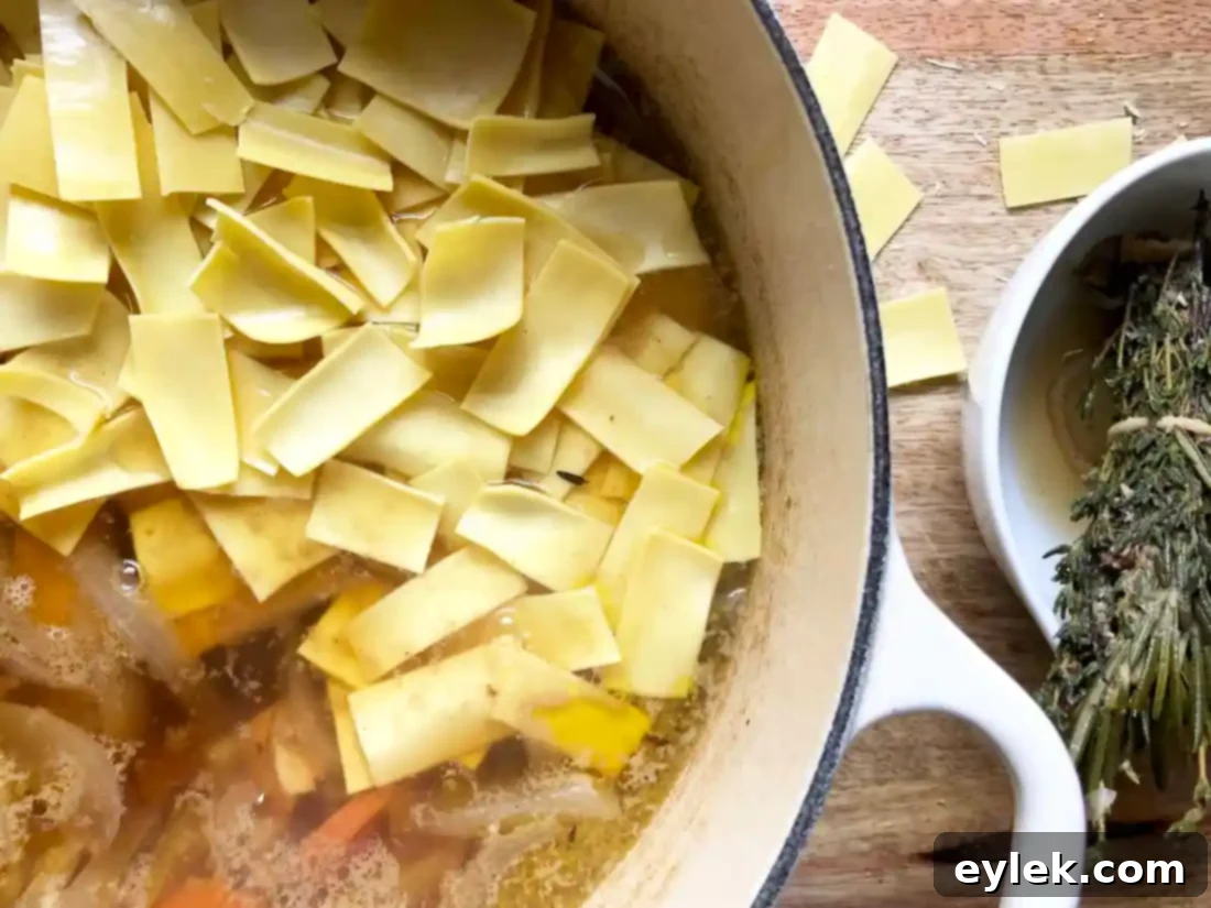 quick & rich chicken soup with fresh noodles