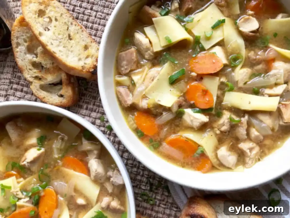 quick & rich chicken soup with fresh noodles
