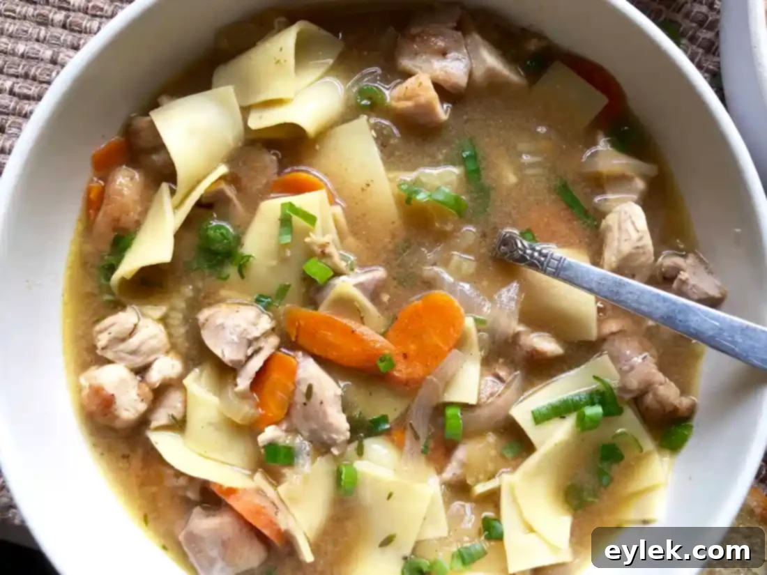 quick & rich chicken soup with fresh noodles