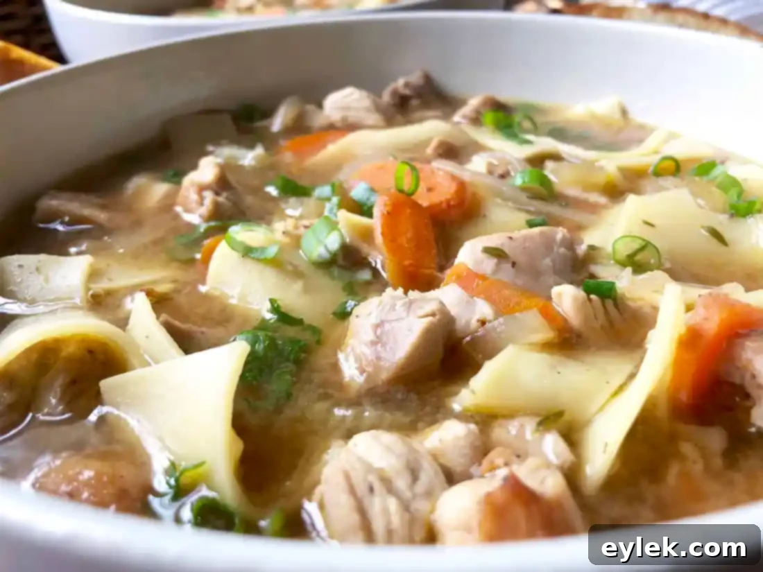 quick & rich chicken soup with fresh noodles