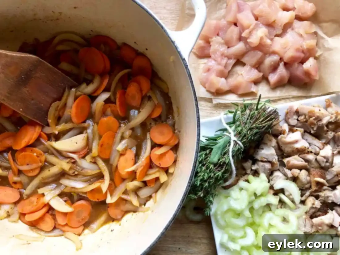 quick & rich chicken soup with fresh noodles