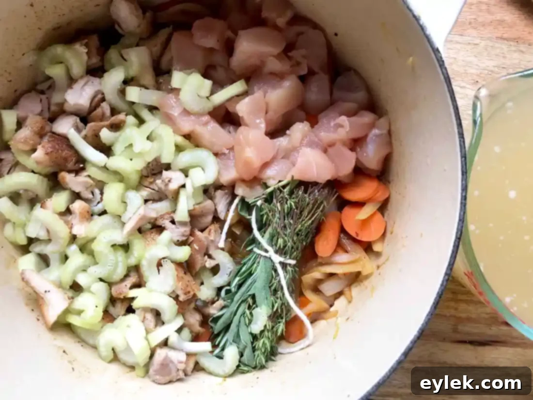 quick & rich chicken soup with fresh noodles