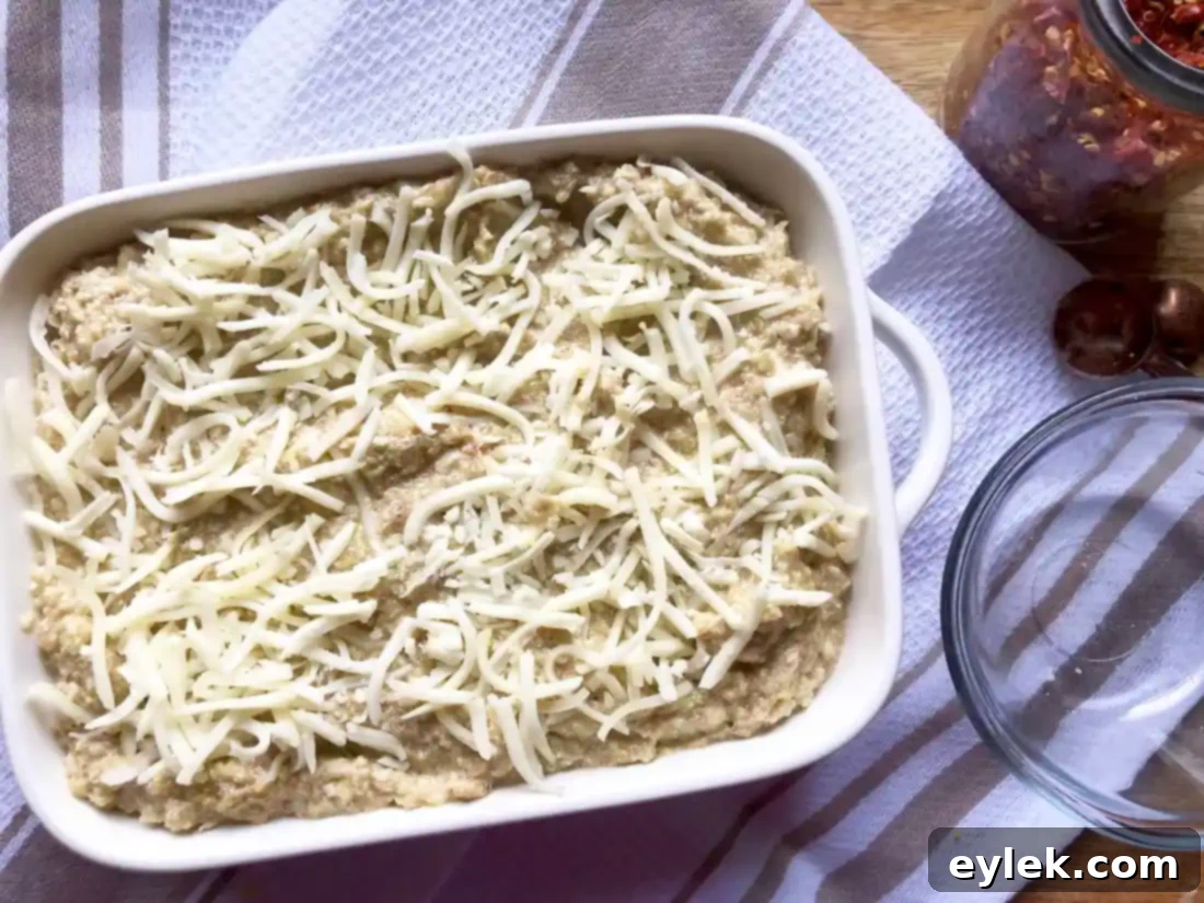 caramelized fennel & leek cheese dip