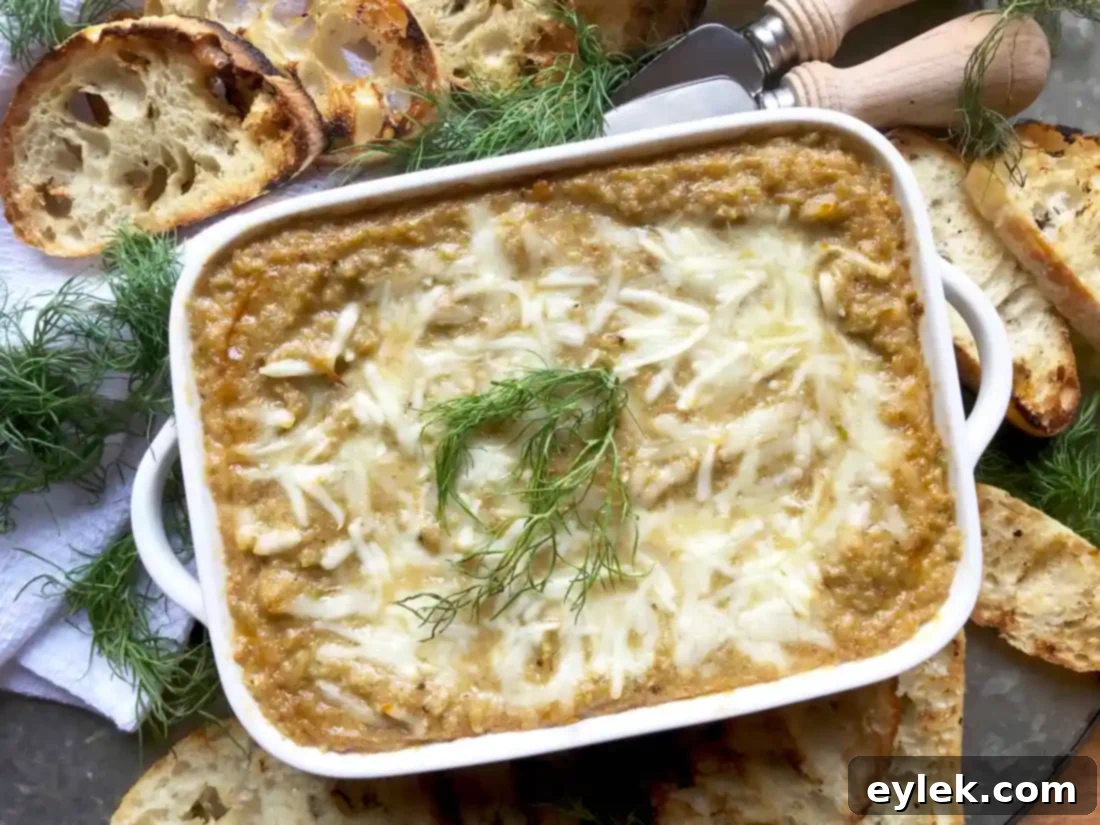 caramelized fennel & leek cheese dip