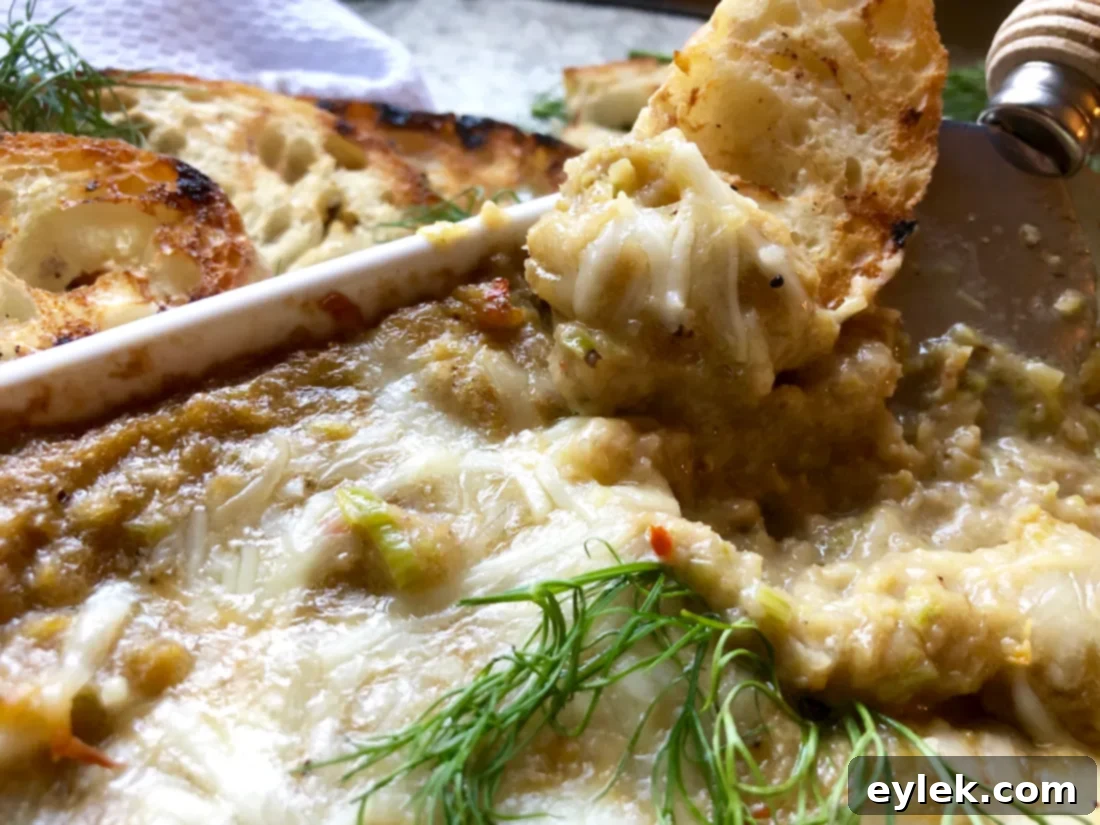 caramelized fennel & leek cheese dip