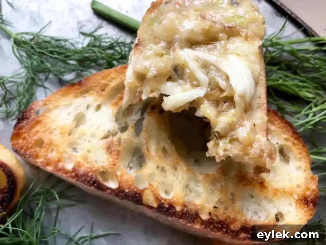 caramelized fennel & leek cheese dip