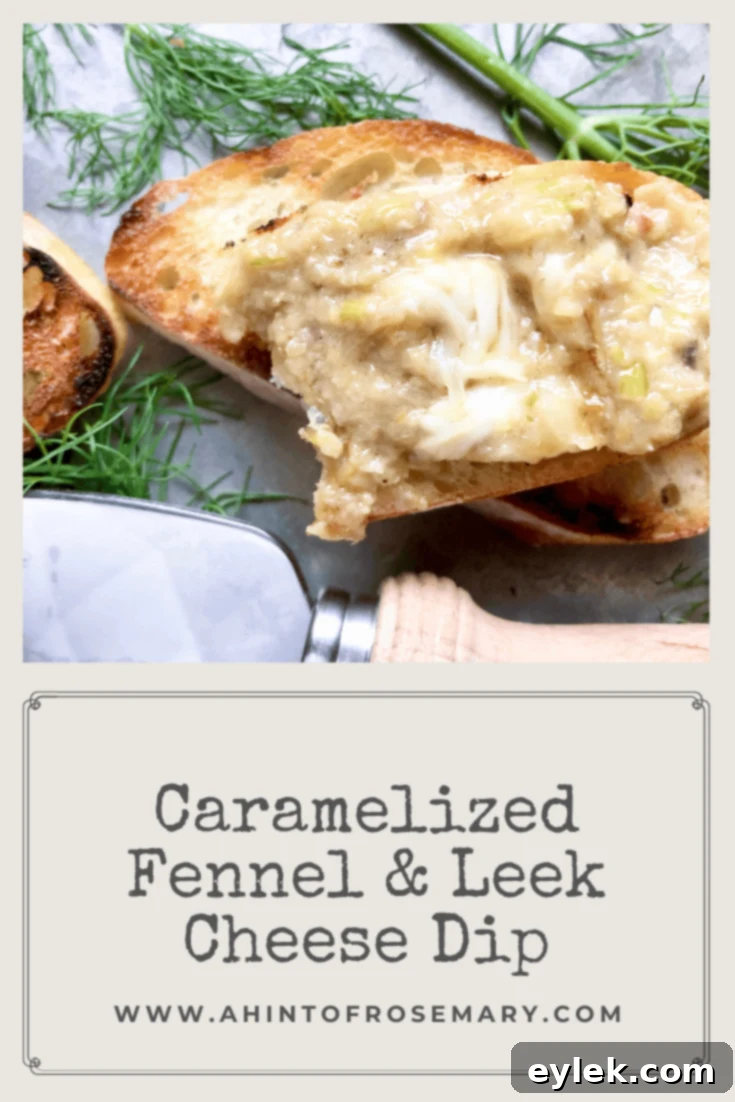 Caramelized Fennel & Leek Cheese Dip