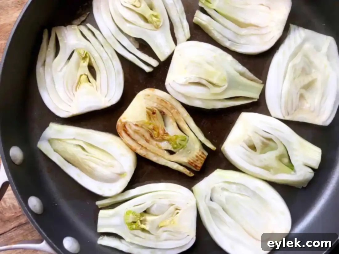 caramelized fennel & leek cheese dip