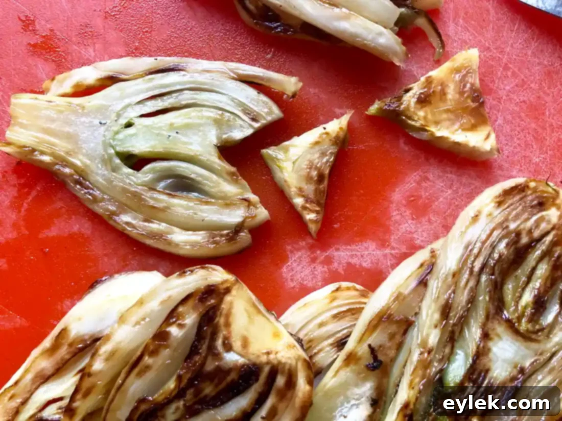 caramelized fennel & leek cheese dip