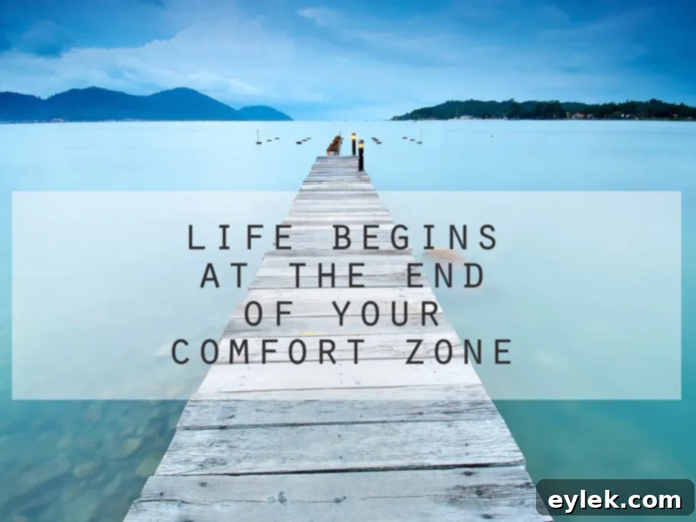 Person looking out beyond a 'comfort zone' bubble