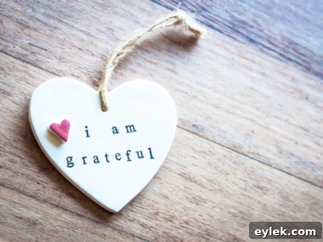 Hands holding up 'gratitude' sign