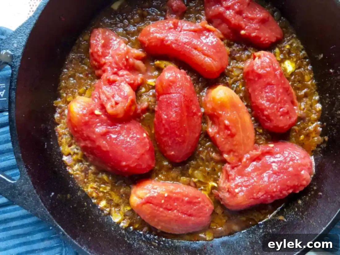 Stewed tomatoes simmering in the skillet