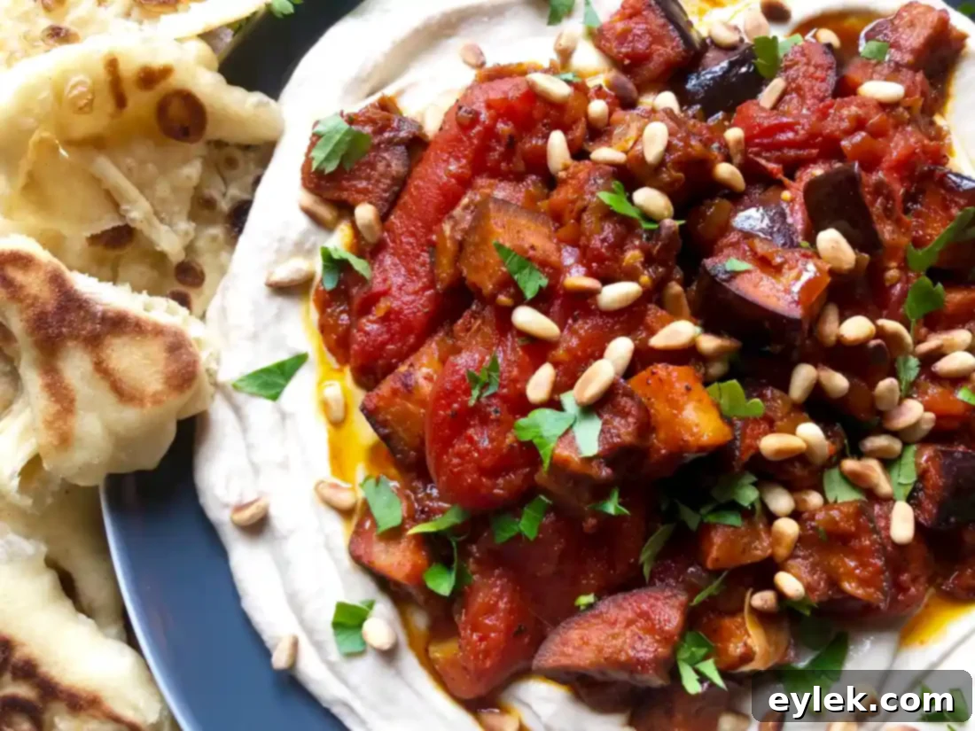 Moroccan Roasted Eggplant with Stewed Tomatoes on hummus, garnished with pine nuts