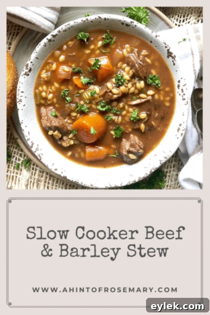 Slow Cooker Beef & Barley Stew - Overhead shot
