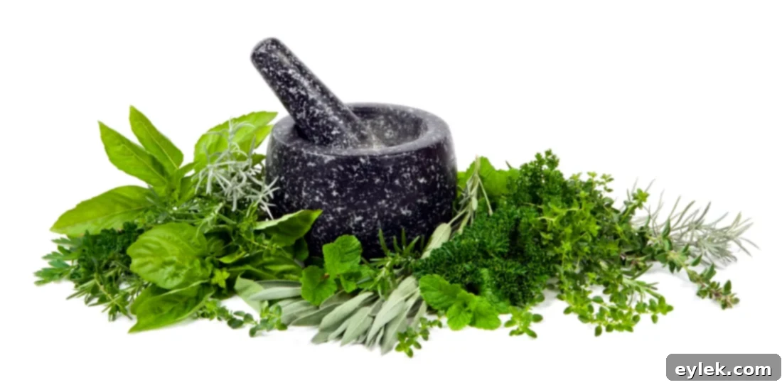 Herbs in mortar and pestle for natural remedies