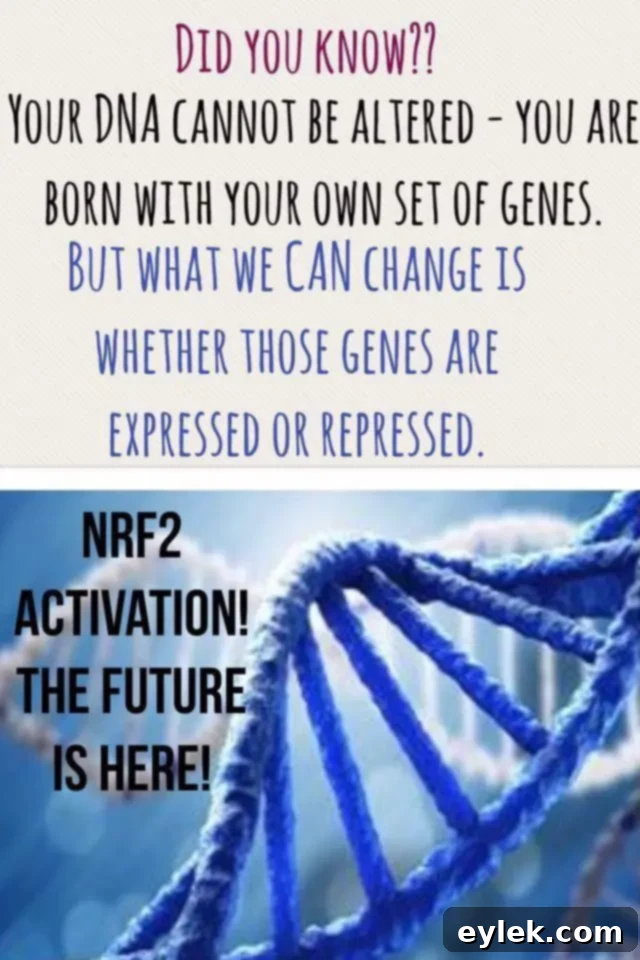 The little yellow pill, Nrf2 Synergizer
