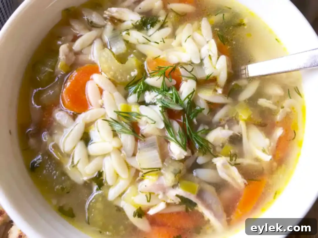 Close-up of a serving of Super Quick Chicken Orzo Soup with fresh dill garnish.