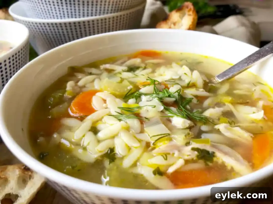 The Super Quick Chicken Orzo Soup ready in a large pot, garnished with fresh herbs.