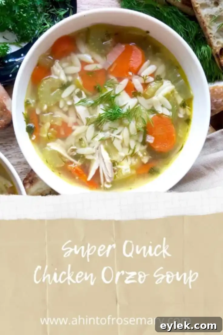 Beautifully presented bowl of Super Quick Chicken Orzo Soup, perfect for a quick and wholesome meal.