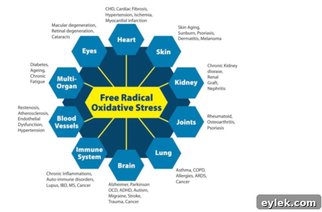 oxidative stress