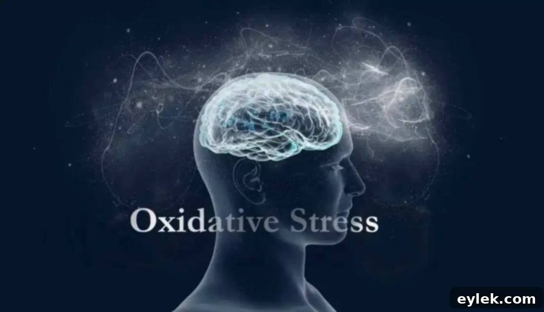 Human brain illustrating the impact of oxidative stress on migraine headaches