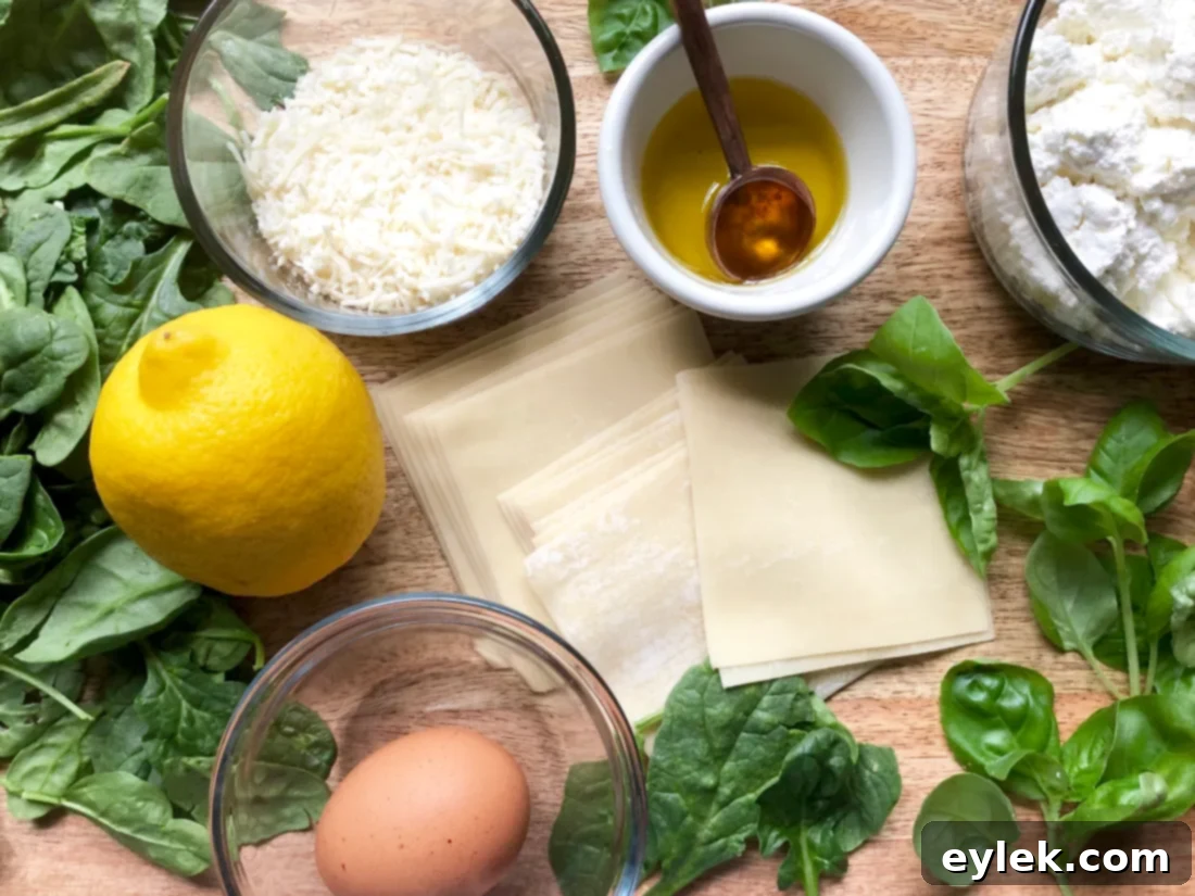 basil & ricotta ravioli