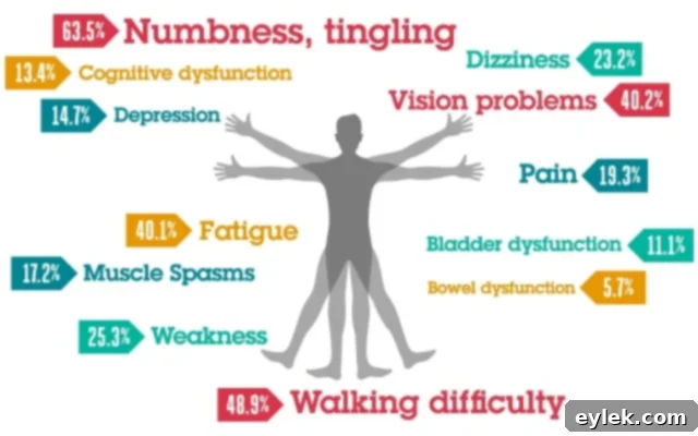 oxidative stress & multiple sclerosis