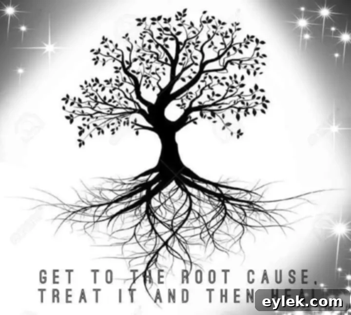 oxidative stress & multiple sclerosis