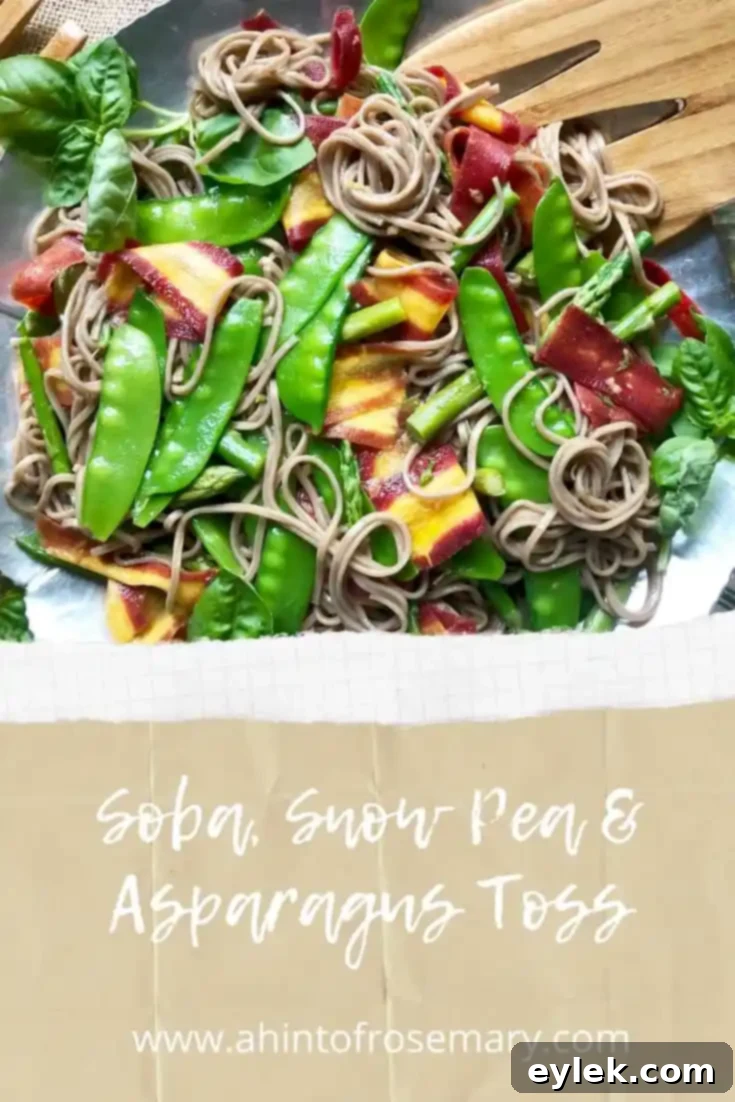 Final presentation of the Soba Noodle, Snow Pea & Asparagus Toss, garnished with fresh basil
