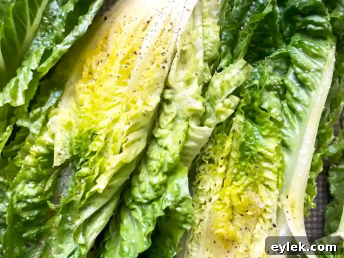 grilled romaine with prosciutto-wrapped shrimp