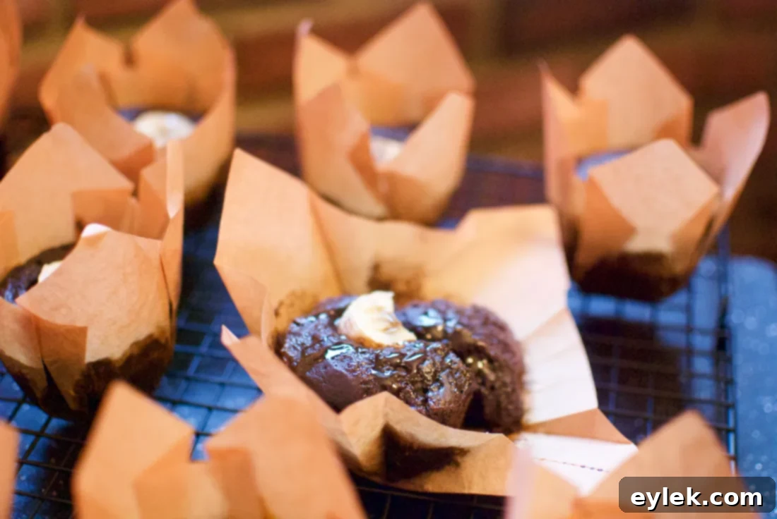 Close-up of a single dark cocoa banana muffin, ready to be enjoyed