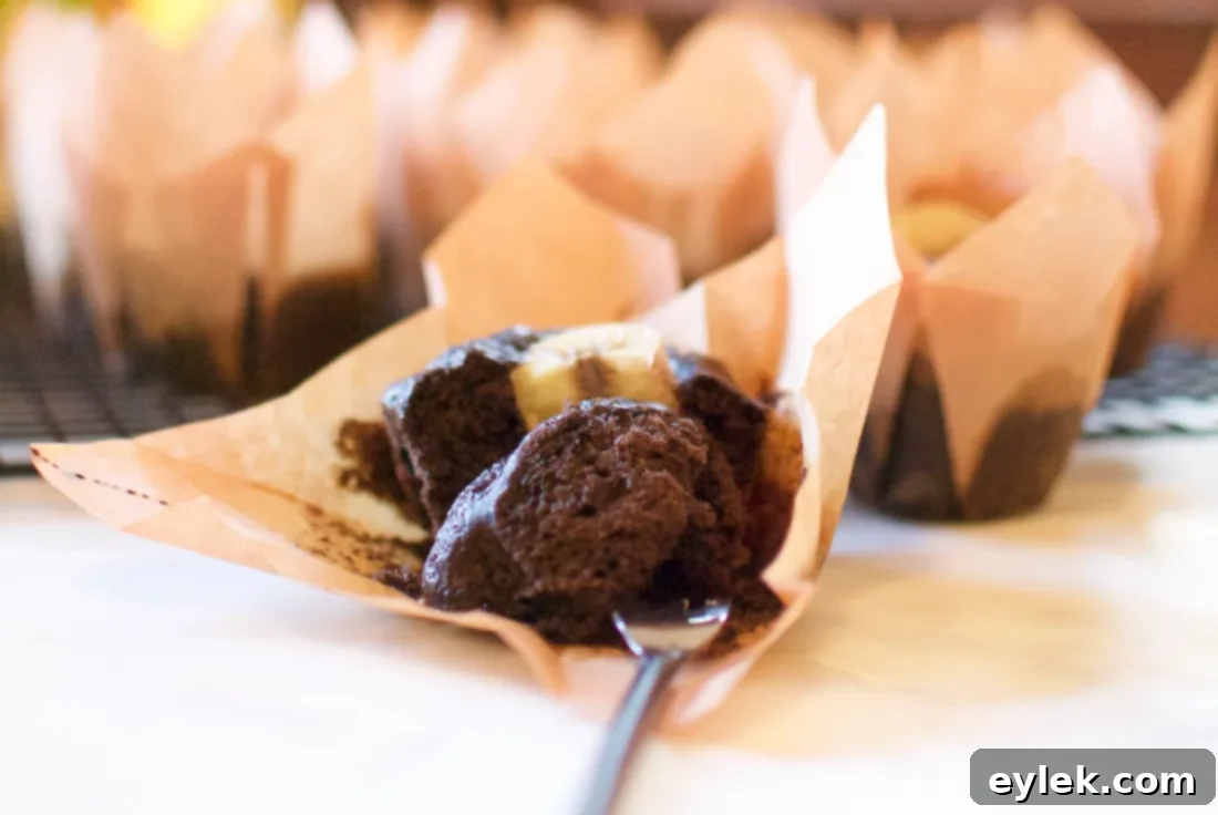 Two dark cocoa banana muffins on a plate with coffee