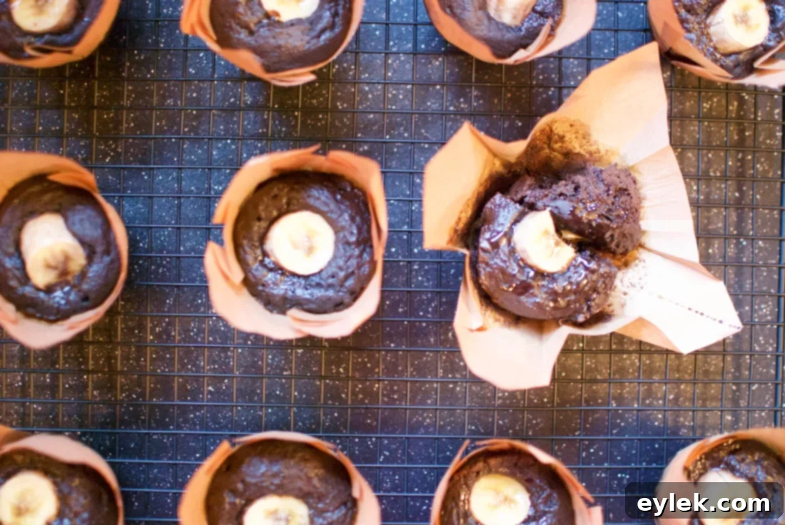 Freshly baked dark cocoa banana muffins in a muffin tin