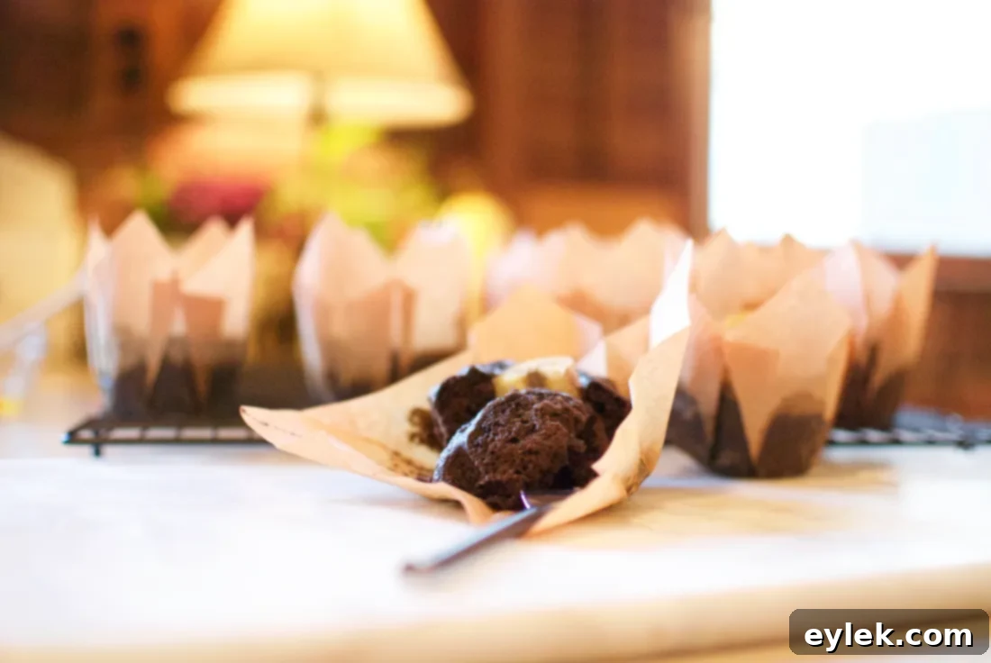 Two dark cocoa banana muffins on a cooling rack