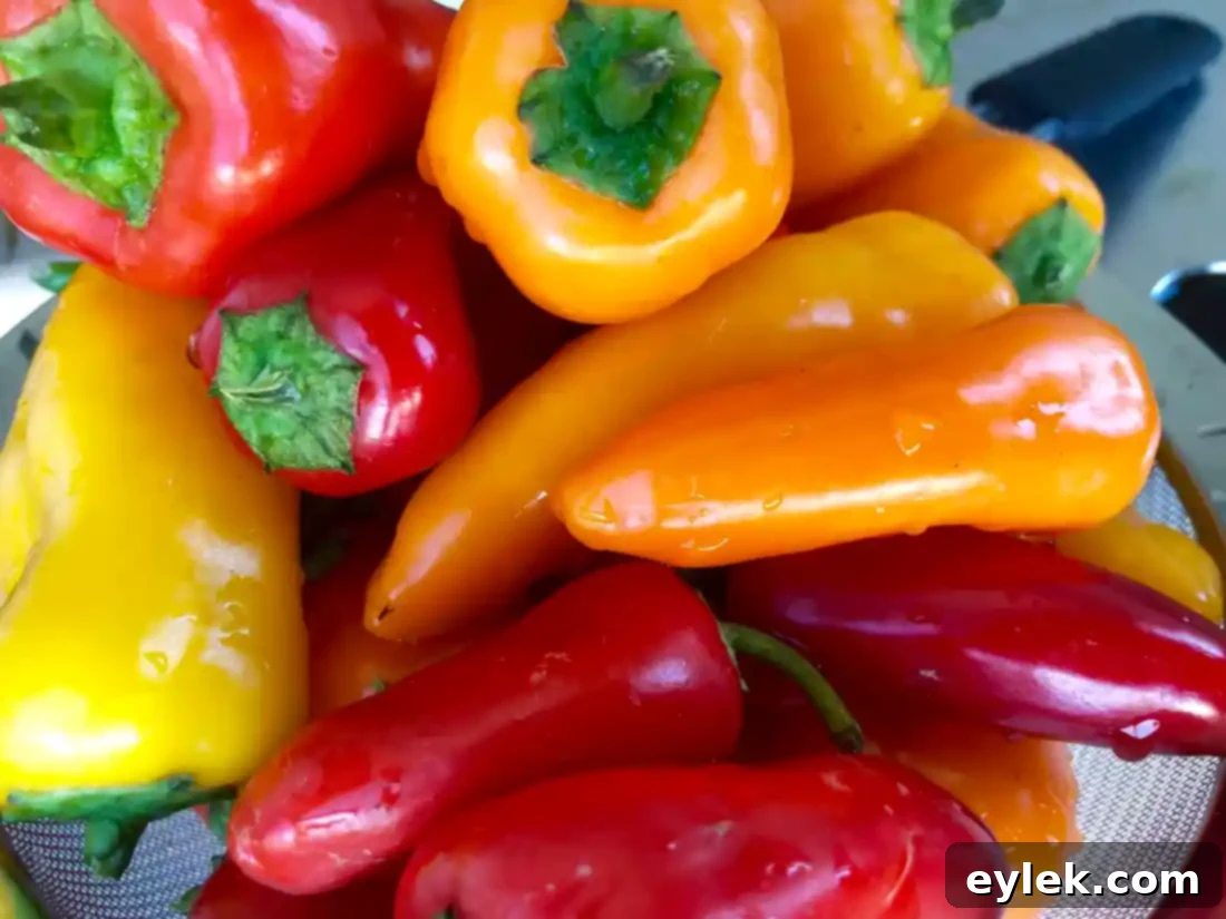 balsamic roasted mini-peppers